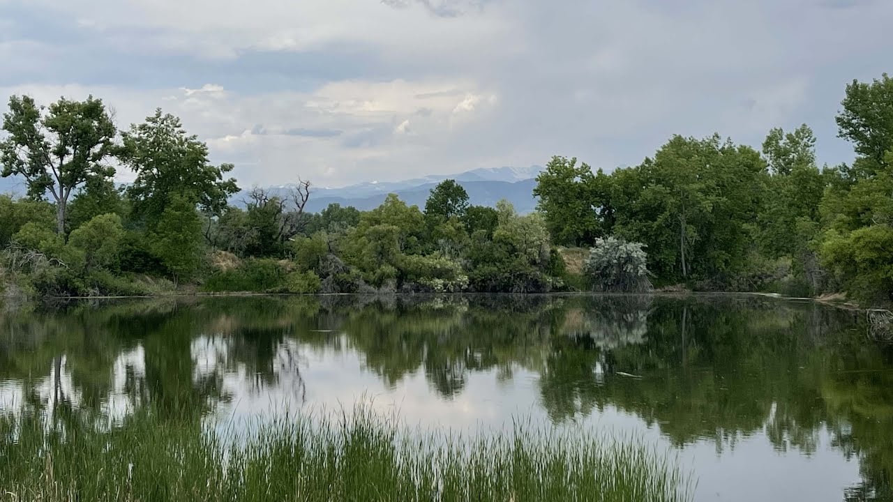 Favorite Places: Sawhill Ponds, Boulder, Colorado
