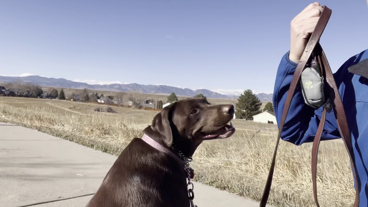 Homes For Sale Near Trails in Metro Denver