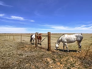 Homes on One or More Acres for Sale in Metro Denver