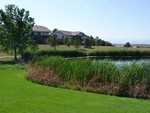 Homes for Sale in Anthem Ranch in Broomfield